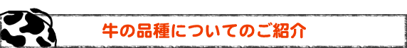 牛の品種についてのご紹介