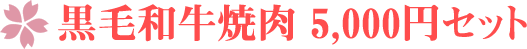 黒毛和牛焼肉 5,000円セット
